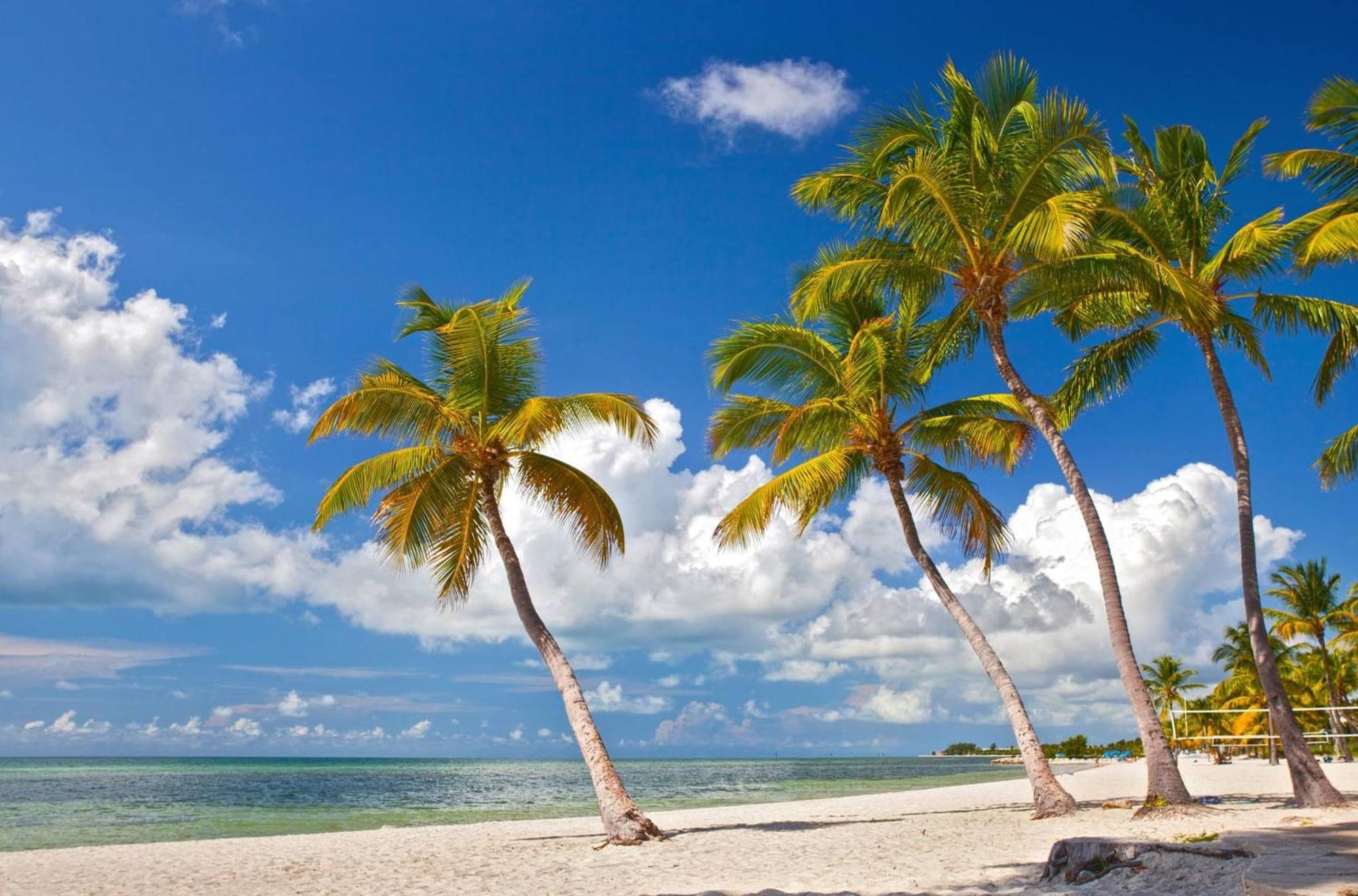 Casa Grande By Avantstay Dt Key West Near South Beach W Pool Экстерьер фото